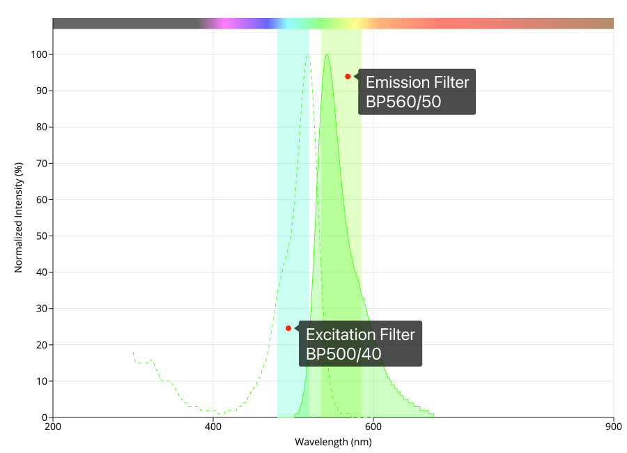 Alexa Fluor 514 滤光片组