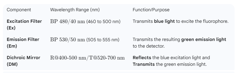 Alexa Fluor 488 滤光片组