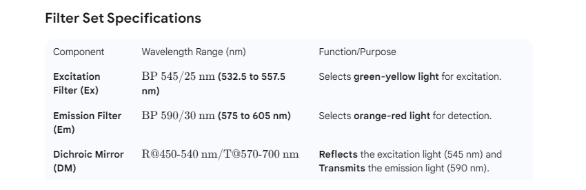 알렉사 플루어 532 필터 세트