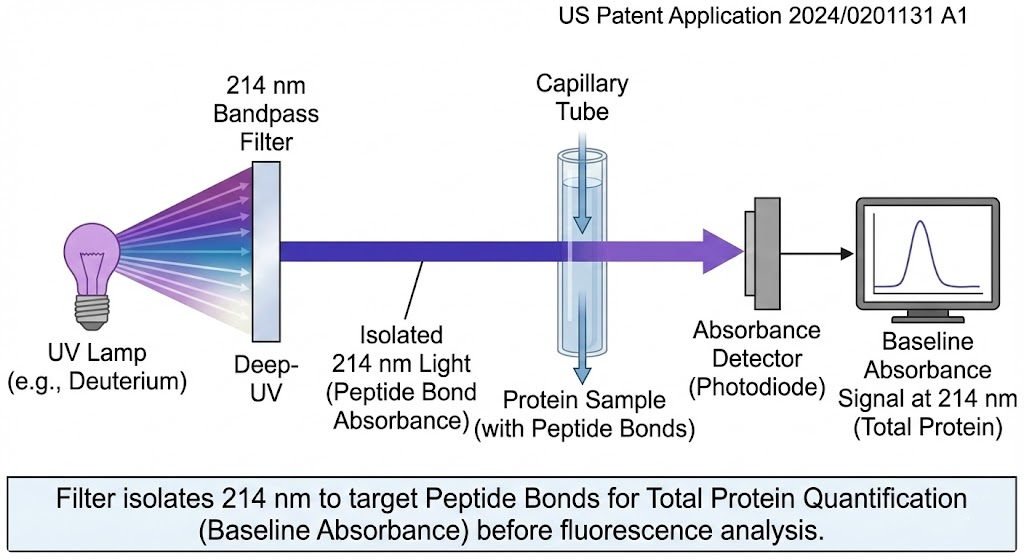 US 20240201131 A1 - Native Fluorescence Detection for Protein Analysis