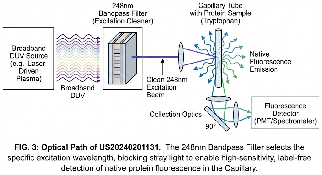 US20240201131 Patent Application - Native Fluorescence Detection for Protein Analysis