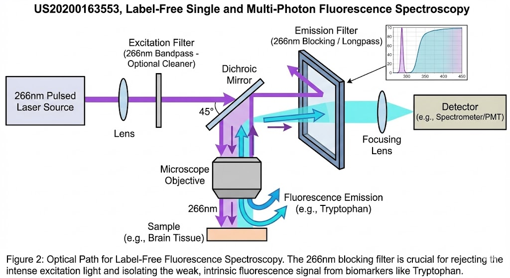 US20200163553 - Label-Free Single and Multi-Photon Fluorescence Spectroscopy