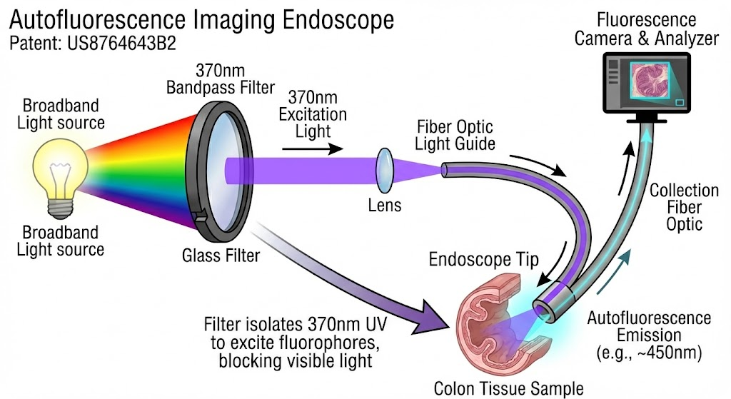 US8764643B2 - Autofluorescence imaging system for endoscopy