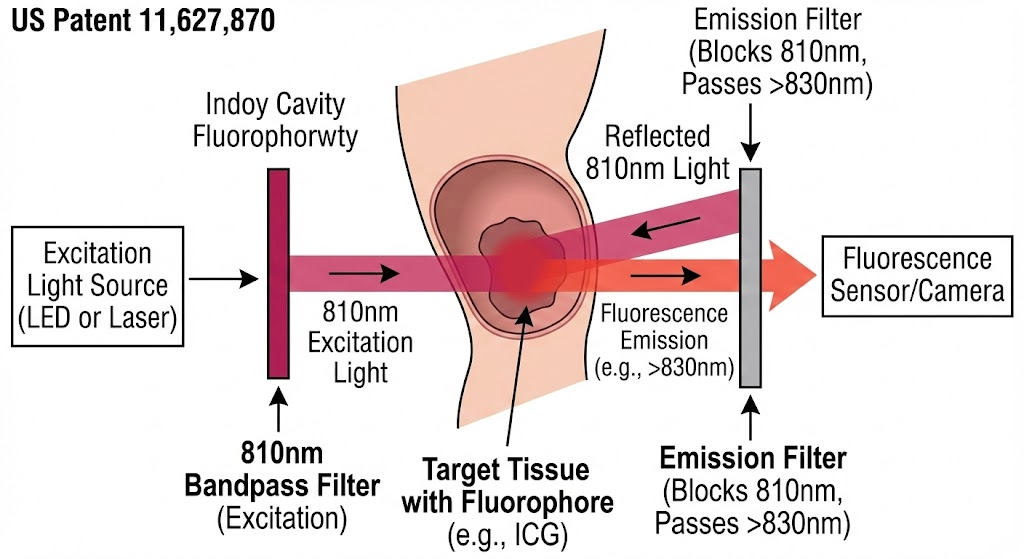 US11627870 - Fluorophore imaging devices, systems, and methods for an endoscopic procedure