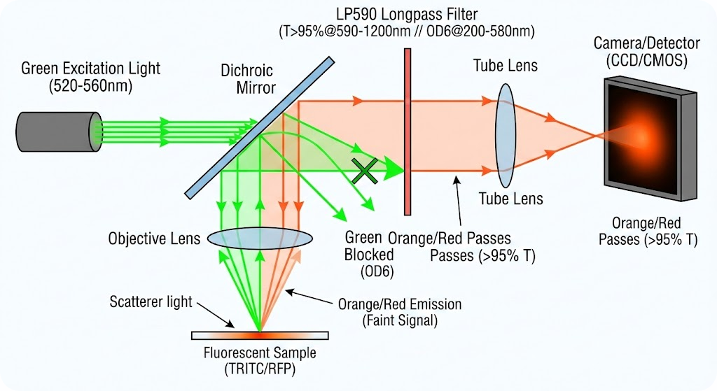 LP590 Longpass Filter - Fluorescence Microscopy (Emission Side)