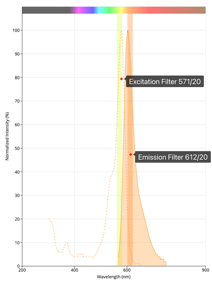 ROX Filter Set