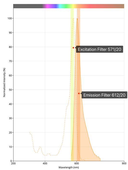 Fluorescence Filter Set – SyronOptics