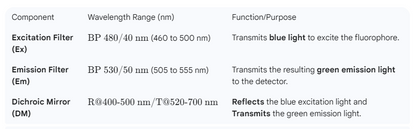 #[SO3140002] FITC Filter Set - Ex:BP480/40nm, Em:BP535/50nm