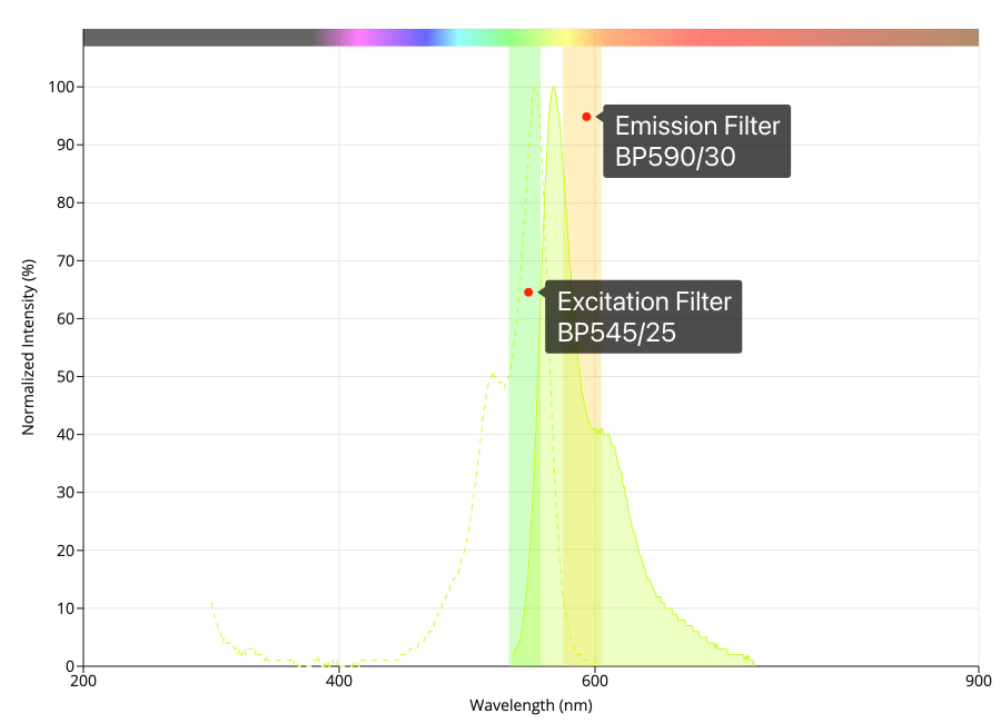 알렉사 플루어 532 필터 세트
